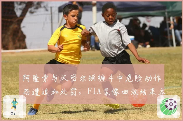 阿隆索与汉密尔顿缠斗中危险动作恐遭追加处罚，FIA录像回放结果本周揭晓
