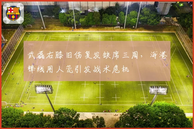 武磊右膝旧伤复发缺席三周，海港锋线用人荒引发战术危机