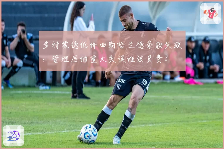 多特蒙德低价回购哈兰德条款失效，管理层的重大失误谁该负责？