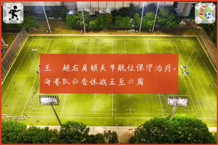 王燊超右肩锁关节脱位保守治疗，海港队公告休战五至六周