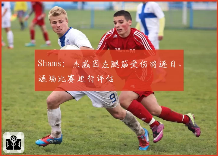 Shams：杰威因左腿筋受伤将逐日、逐场比赛进行评估
