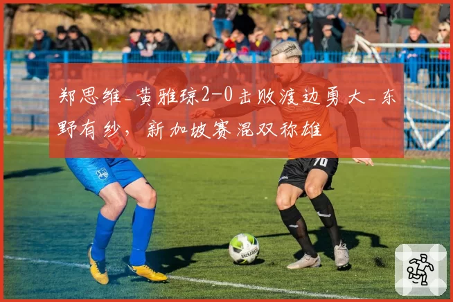 郑思维_黄雅琼2-0击败渡边勇大_东野有纱，新加坡赛混双称雄